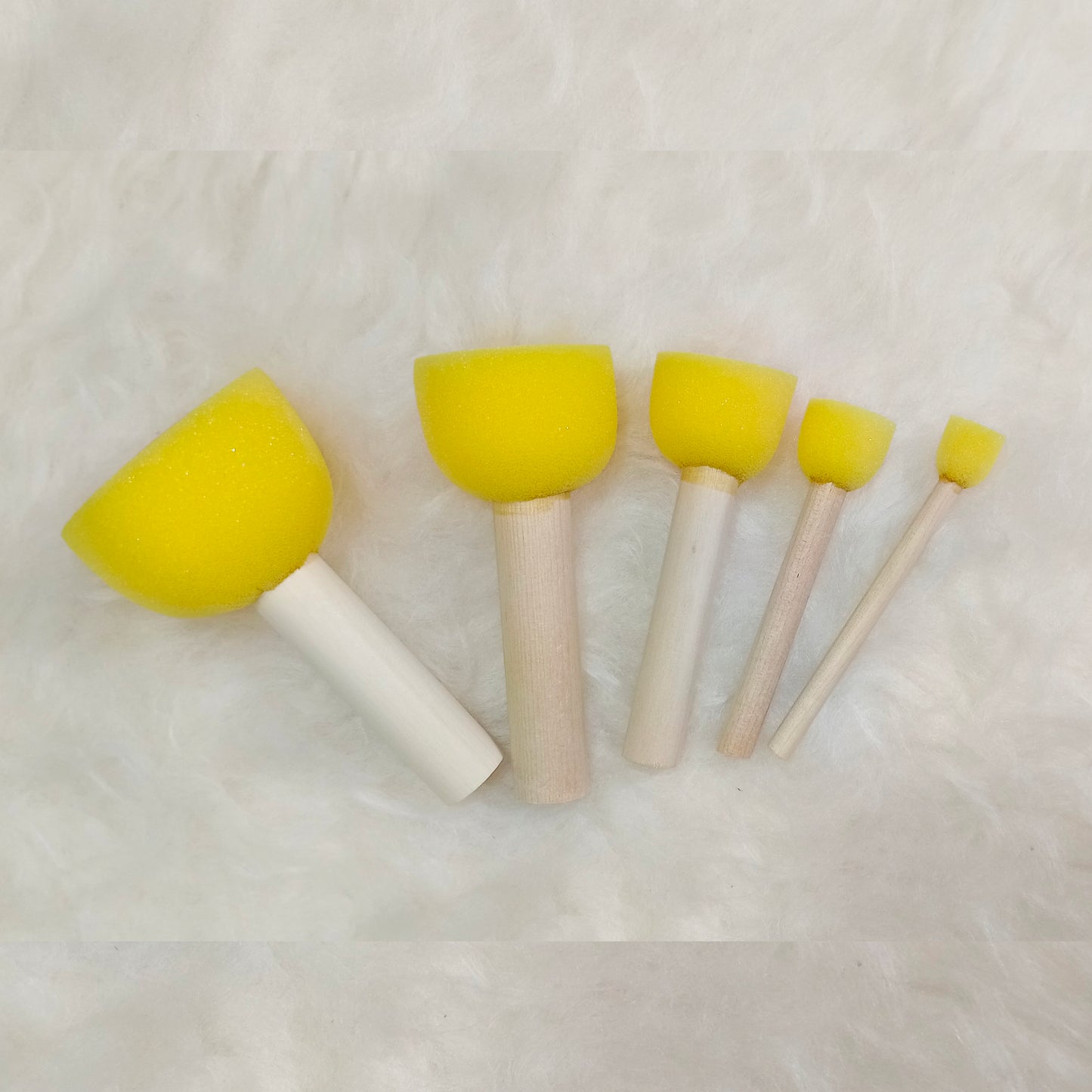 Brush Set of 5 ( Sponge Brushes)