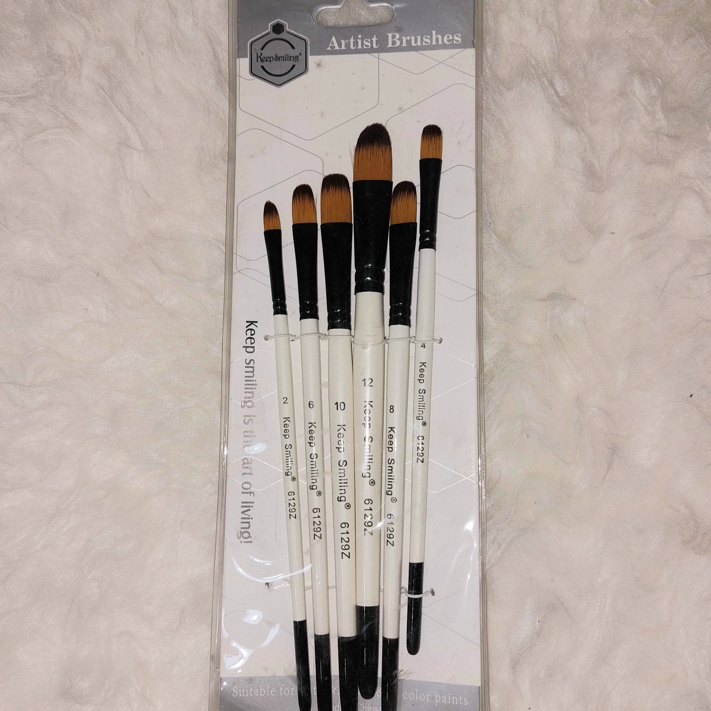 Brushes Set of 6 FILBERT